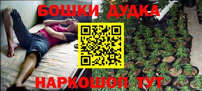 прущие крисы Краснокаменск