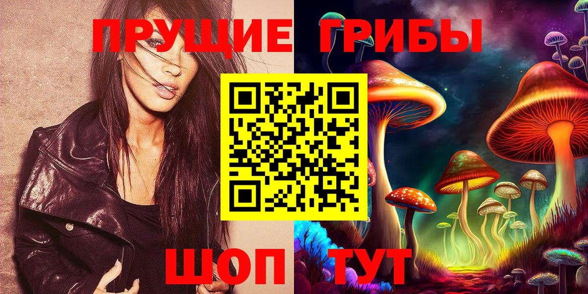 закладки  Вход с VPN  Усть-Джегута  Псилоцибиновые грибы Magic Shrooms 
